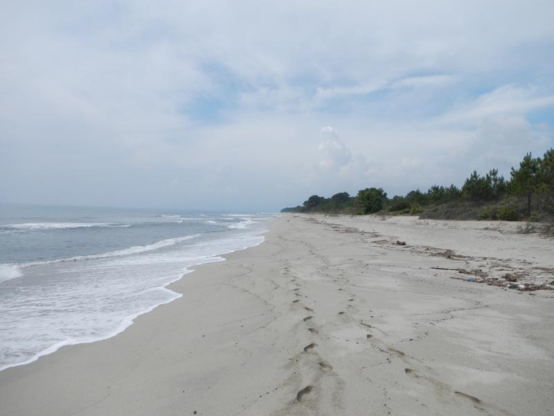 Plage de Ghisonaccia