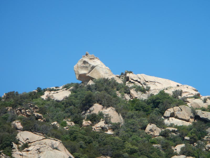 Lion de Roccapina