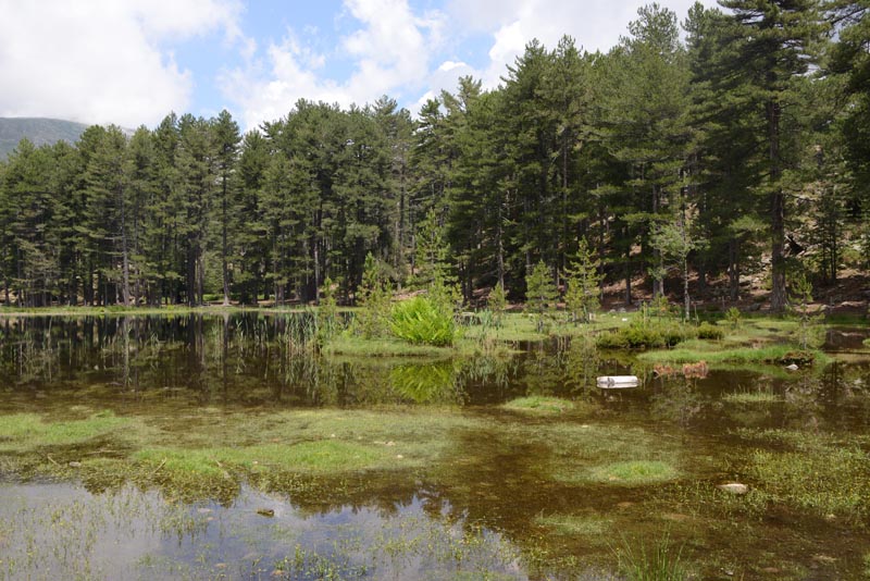 Lac du Creno