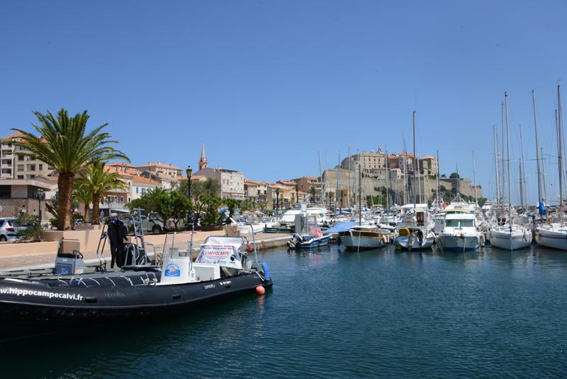 Calvi