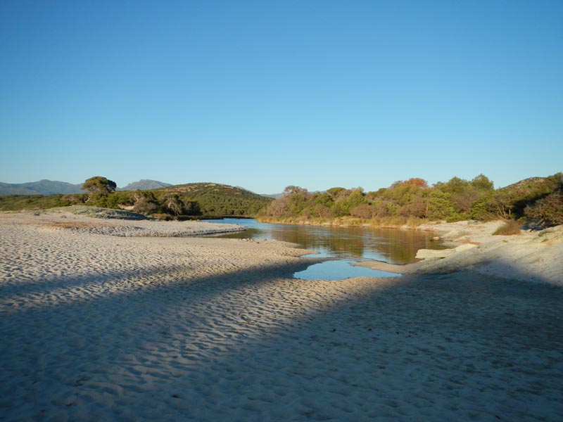 Plage de Saleccia