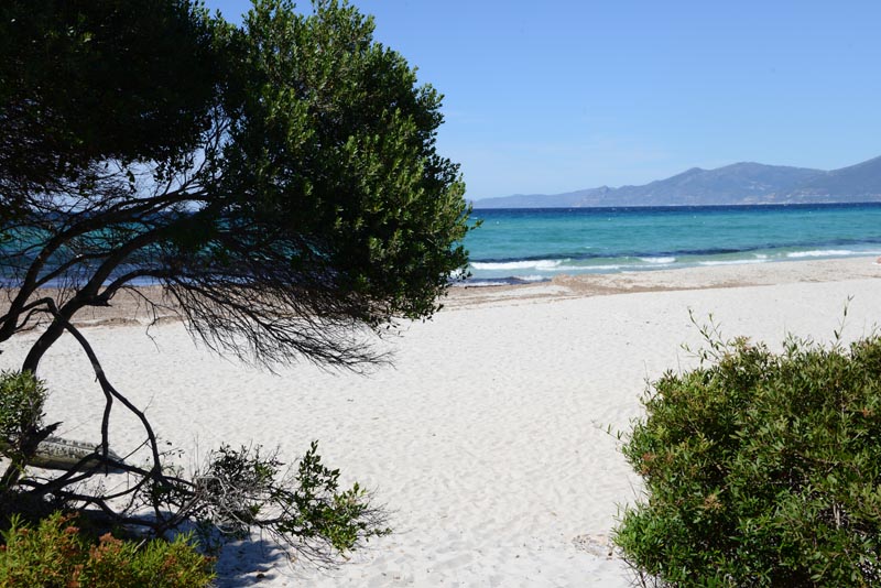 Plage de Saleccia