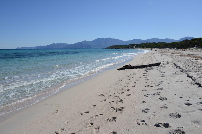 Plage de Saleccia