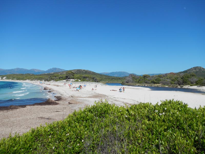 Plage de Saleccia