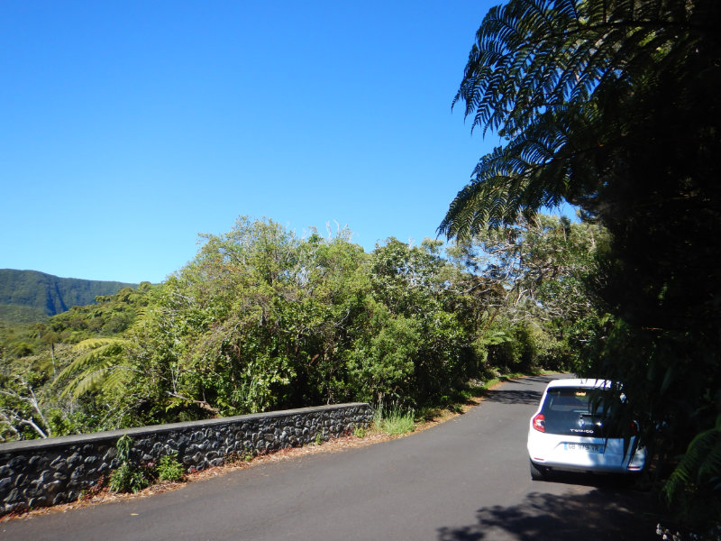 Foret de Bebour - Belouve