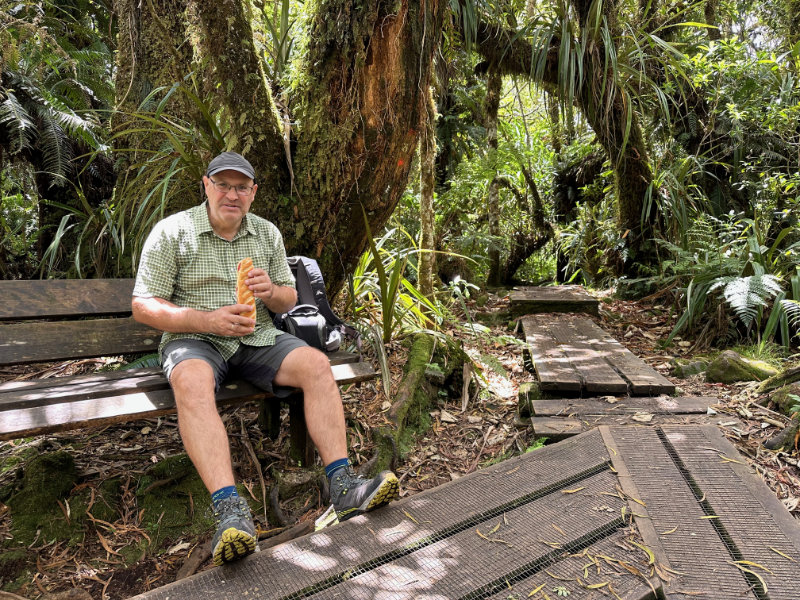 Foret de Bebour - Belouve