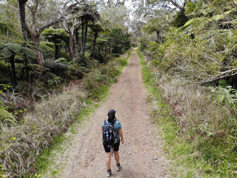 Foret de Bebour - Belouve
