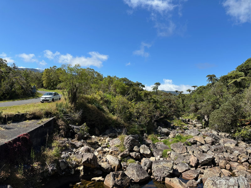 Foret de Bebour - Belouve