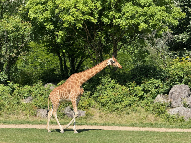 Parc de la Tte d'Or
