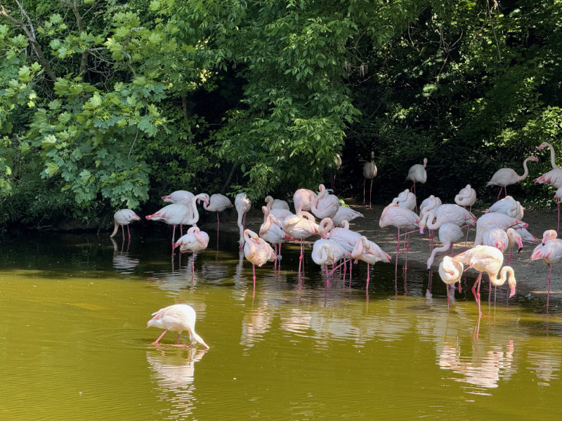 Parc de la Tte d'Or