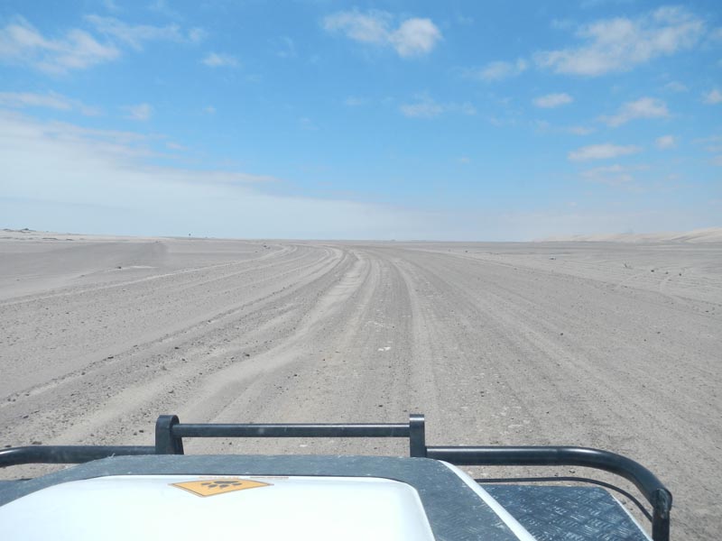 Skeleton Coast
