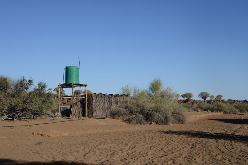 Mesosaurus Camp