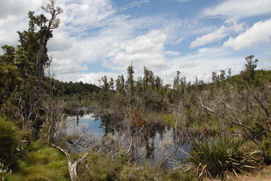 Lake Monowai
