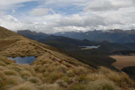Fiordland NP