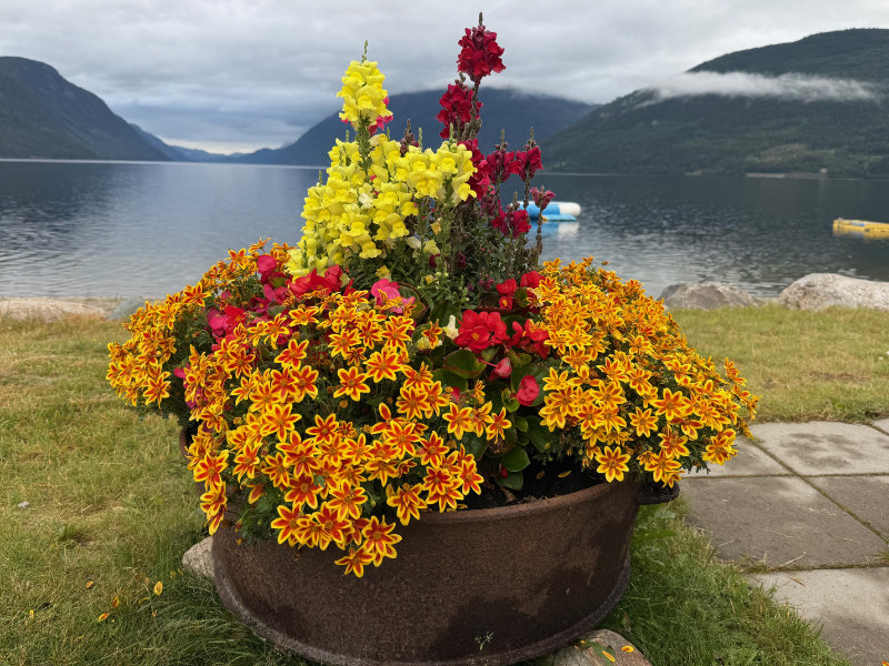 Sandviken Camping