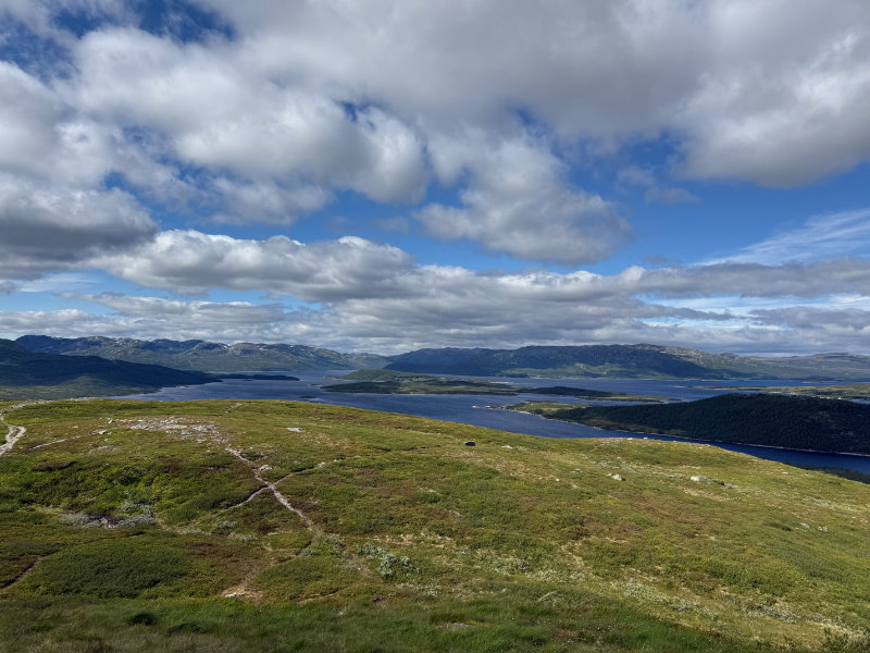 Falkeriset