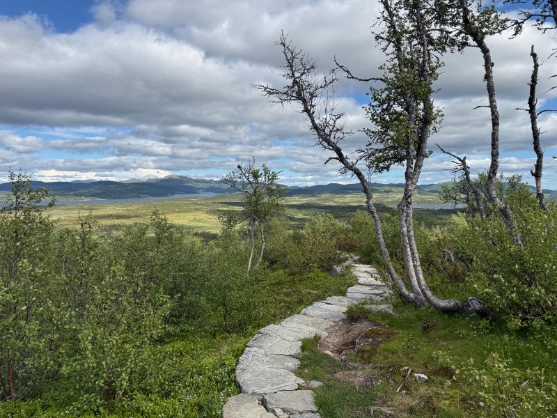 Falkeriset