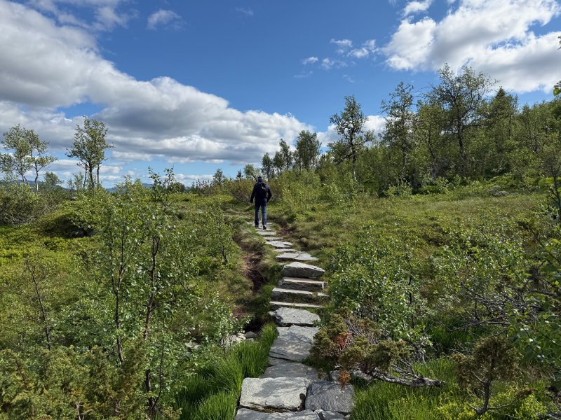 Falkeriset
