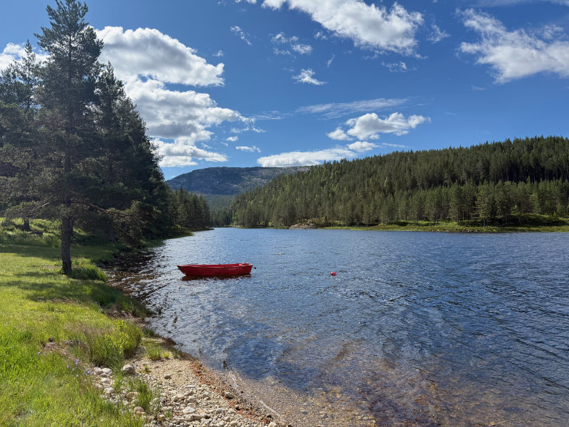 �ynuten rundt