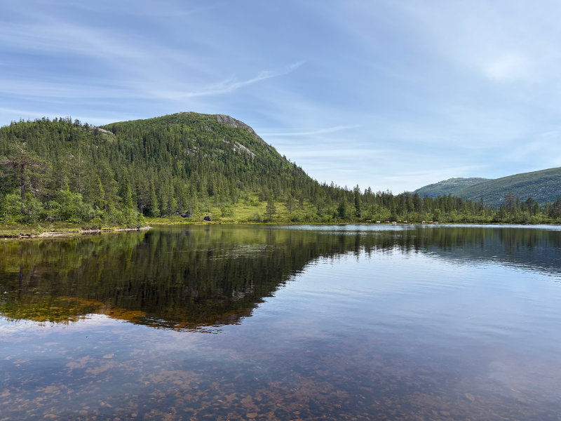 Lifjell