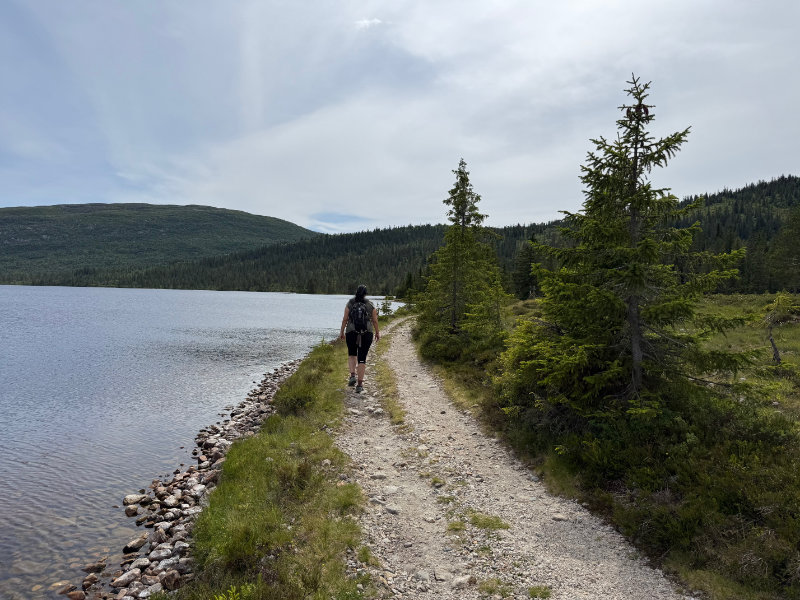 Lifjell