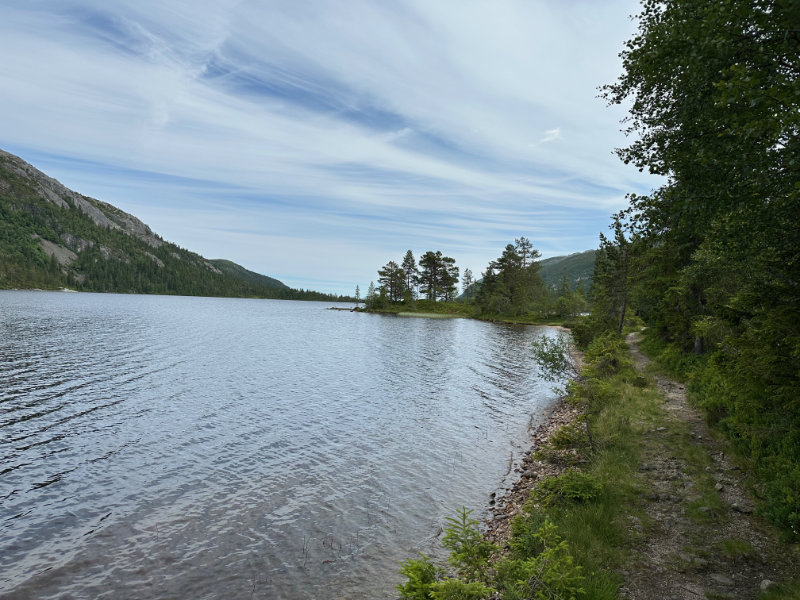Lifjell