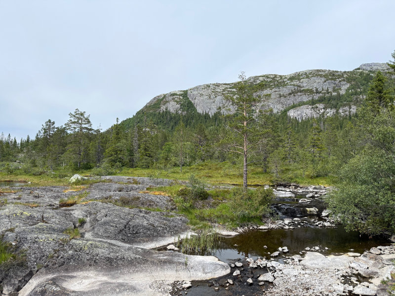 Lifjell
