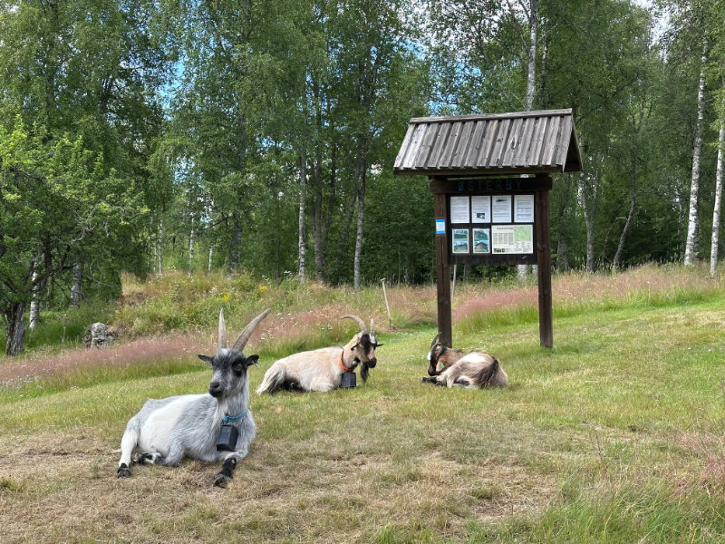 7-torpsleden