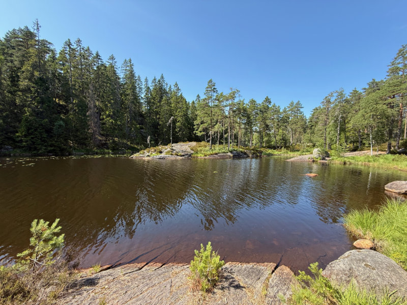 Tresticklan NP