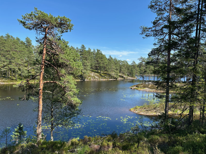 Tresticklan NP
