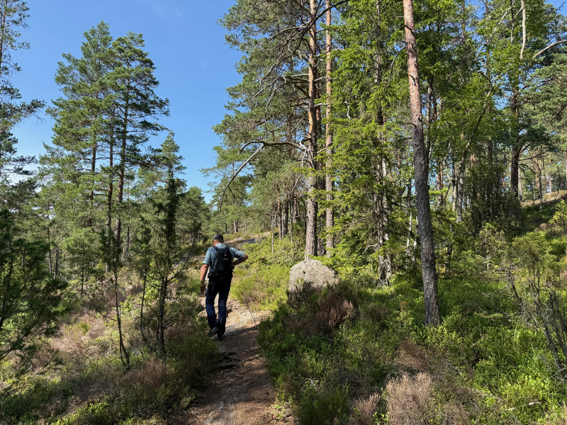 Tresticklan NP