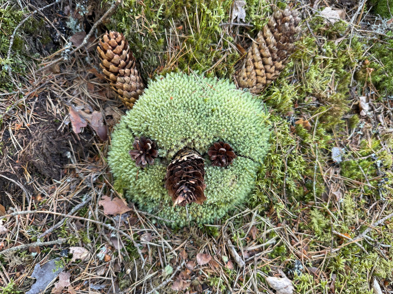Tresticklan NP