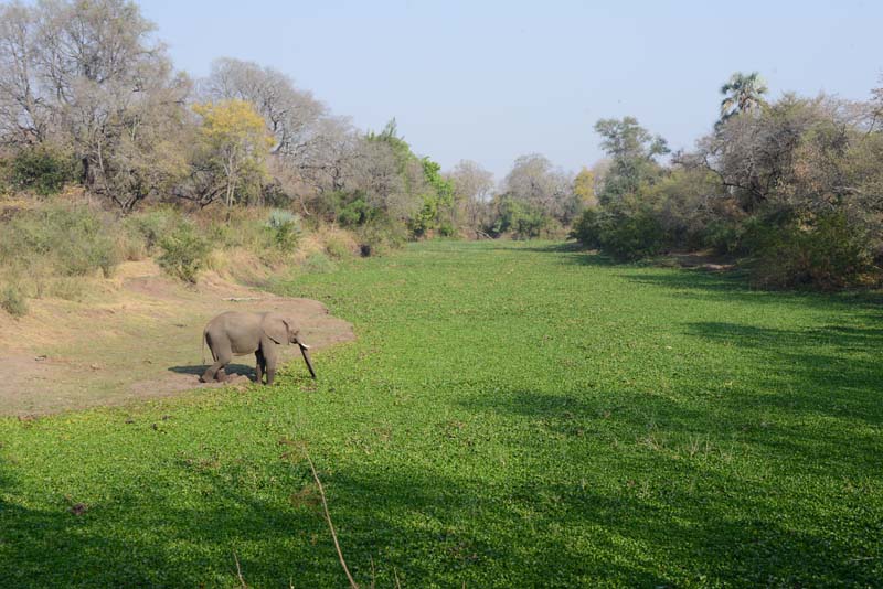 Maramba River