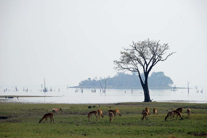 Lake Itezhi Tezhi