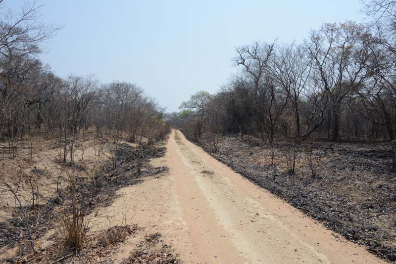 Spinal Road, Kafue NP