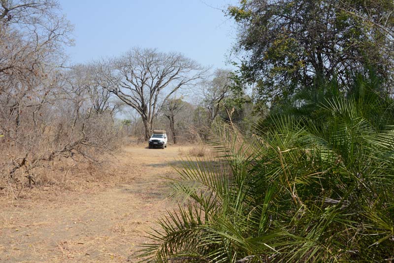 Kafue NP