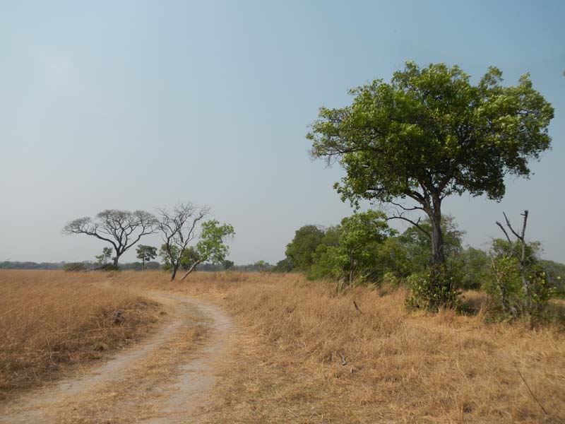 Kafue NP