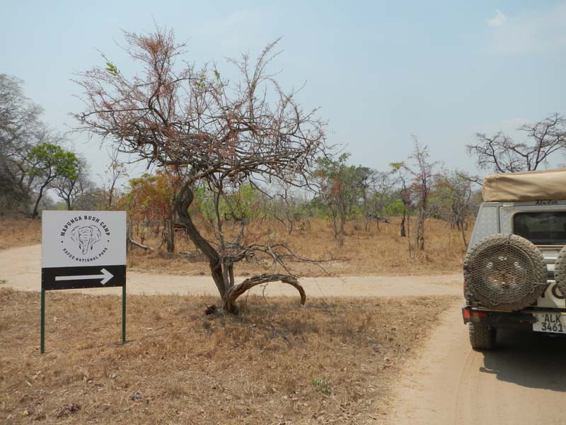 Mapunga Bush Camp