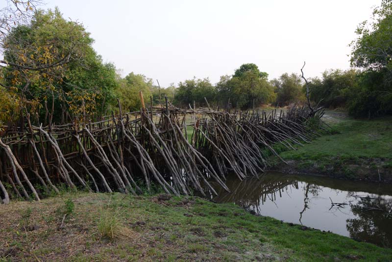 Kafue NP