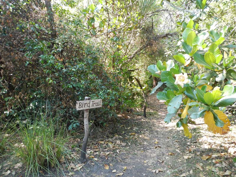 Kapishya Hot Springs