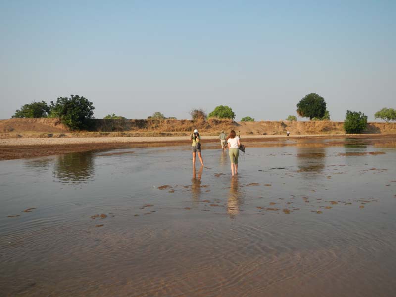 Mwaleshi River