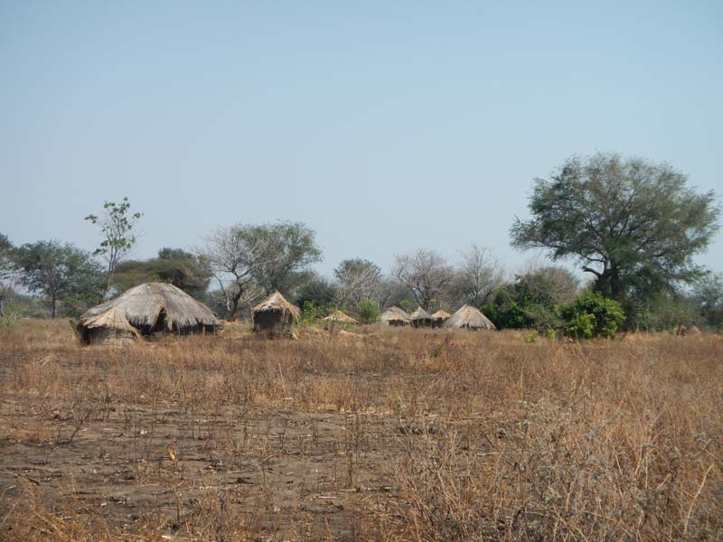 Zambia