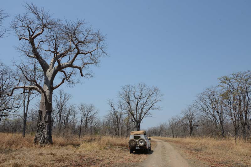 Zambia