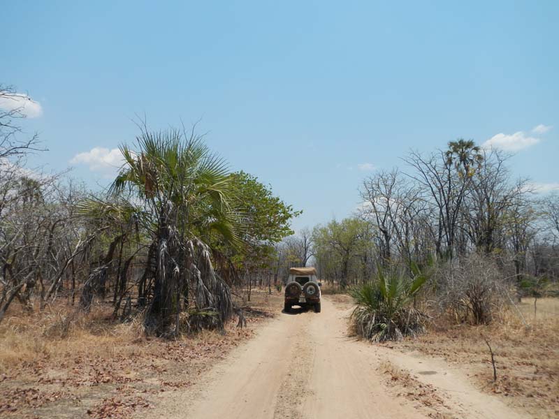 Zambia