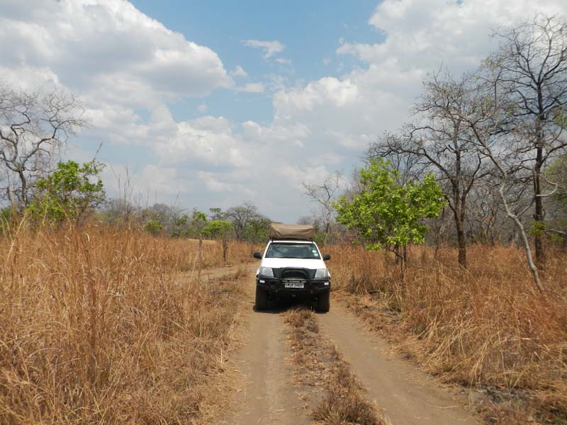 Zambia