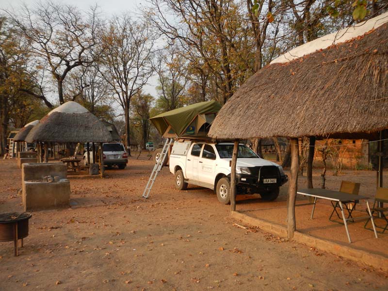 Wildlife Camp