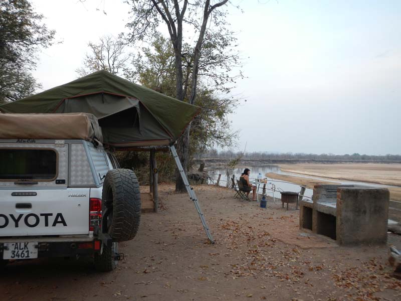 Wildlife Camp