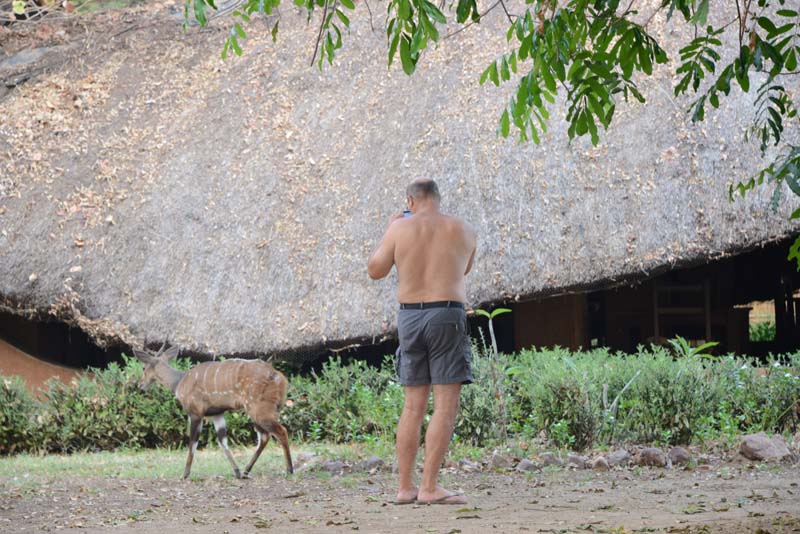 Croc Valley Camp