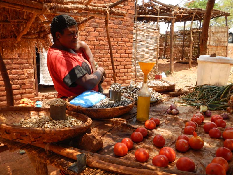 Zambia