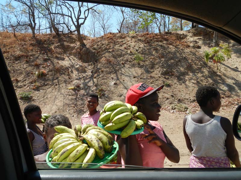 Zambia